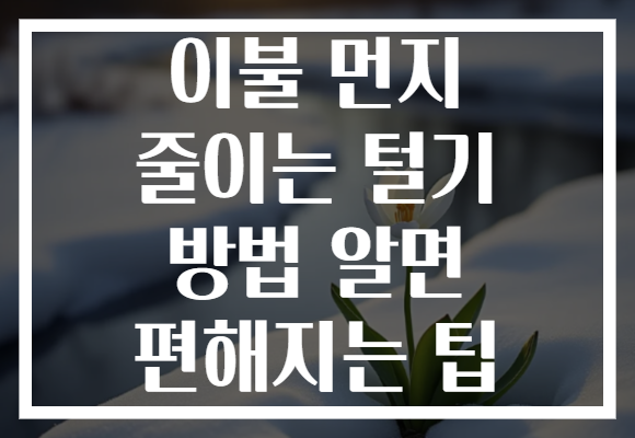 이불 먼지 줄이는 털기 방법 알면 편해지는 팁