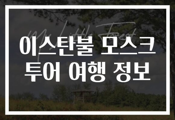 이스탄불 모스크 투어 여행 정보