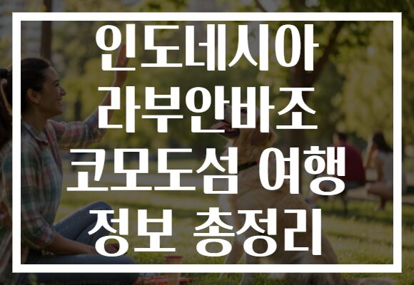 인도네시아 라부안바조 코모도섬 여행 정보 총정리