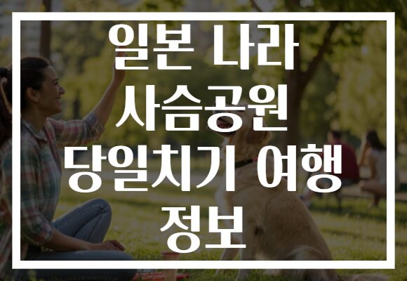 일본 나라 사슴공원 당일치기 여행 정보