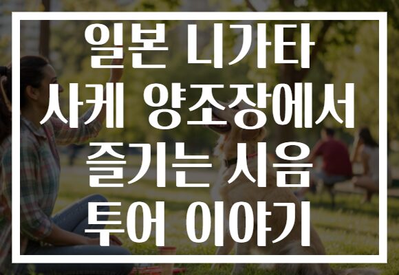 일본 니가타 사케 양조장에서 즐기는 시음 투어 이야기