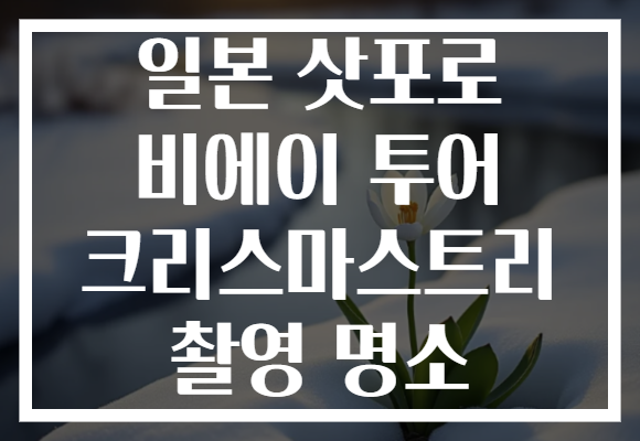 일본 삿포로 비에이 투어 크리스마스트리 촬영 명소