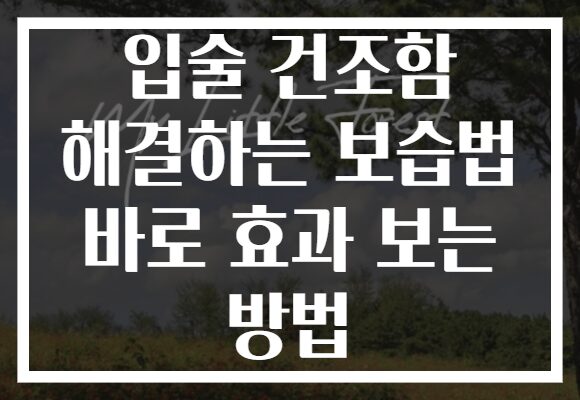 입술 건조함 해결하는 보습법 바로 효과 보는 방법
