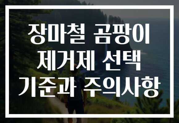 장마철 곰팡이 제거제 선택 기준과 주의사항