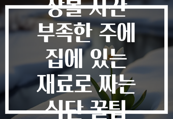 장볼 시간 부족한 주에 집에 있는 재료로 짜는 식단 꿀팁