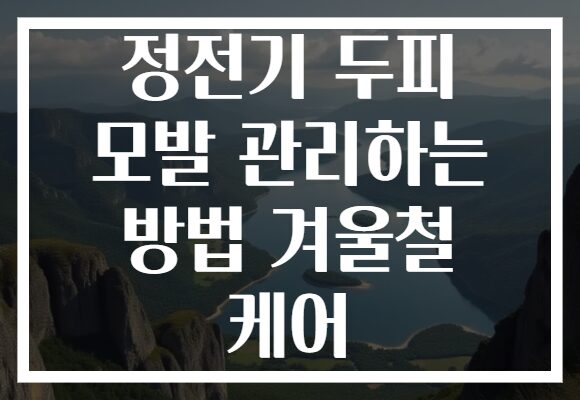 정전기 두피 모발 관리하는 방법 겨울철 케어