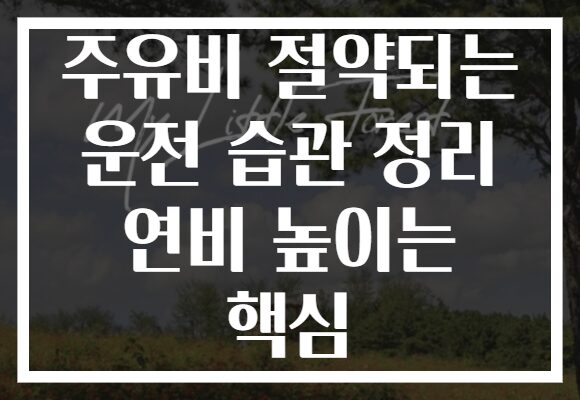 주유비 절약되는 운전 습관 정리 연비 높이는 핵심