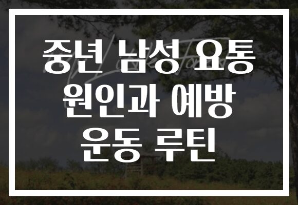 중년 남성 요통 원인과 예방 운동 루틴