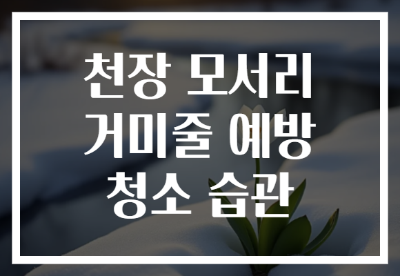 천장 모서리 거미줄 예방 청소 습관