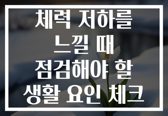 체력 저하를 느낄 때 점검해야 할 생활 요인 체크