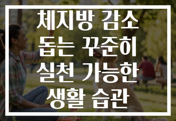 체지방 감소 돕는 꾸준히 실천 가능한 생활 습관