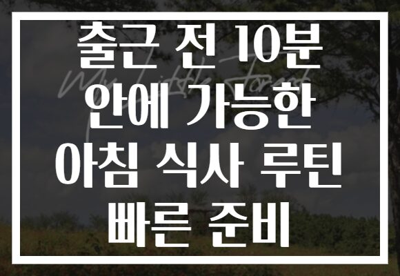 출근 전 10분 안에 가능한 아침 식사 루틴 빠른 준비