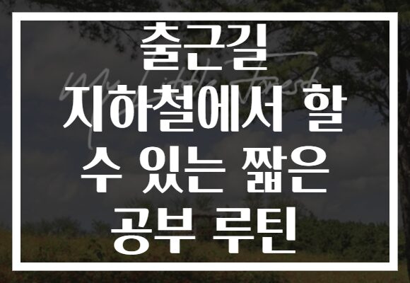 출근길 지하철에서 할 수 있는 짧은 공부 루틴