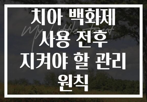 치아 백화제 사용 전후 지켜야 할 관리 원칙