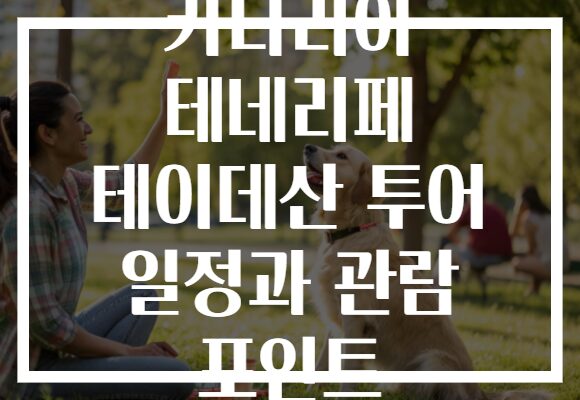 카나리아 테네리페 테이데산 투어 일정과 관람 포인트