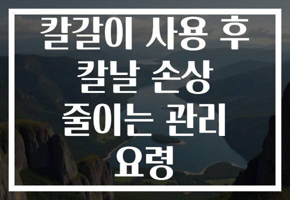 칼갈이 사용 후 칼날 손상 줄이는 관리 요령