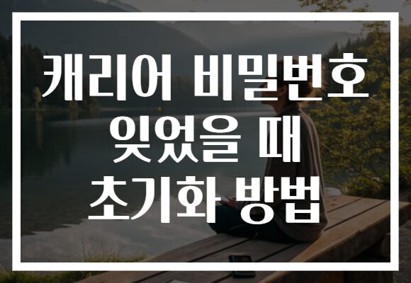 캐리어 비밀번호 잊었을 때 초기화 방법