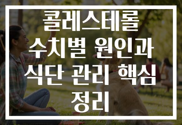 콜레스테롤 수치별 원인과 식단 관리 핵심 정리