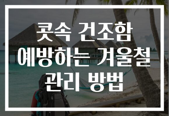 콧속 건조함 예방하는 겨울철 관리 방법