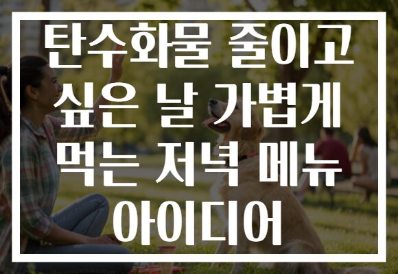 탄수화물 줄이고 싶은 날 가볍게 먹는 저녁 메뉴 아이디어