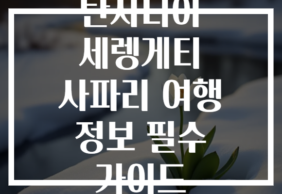 탄자니아 세렝게티 사파리 여행 정보 필수 가이드