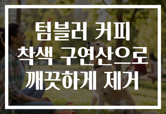 텀블러 커피 착색 구연산으로 깨끗하게 제거