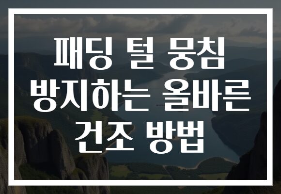 패딩 털 뭉침 방지하는 올바른 건조 방법