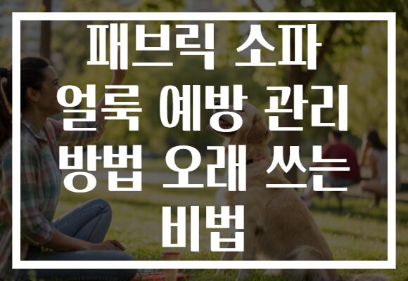 패브릭 소파 얼룩 예방 관리 방법 오래 쓰는 비법