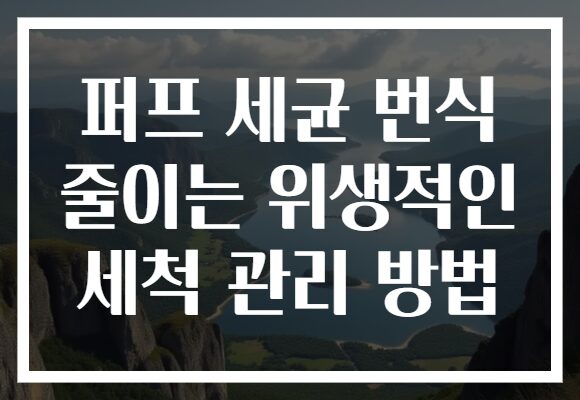 퍼프 세균 번식 줄이는 위생적인 세척 관리 방법