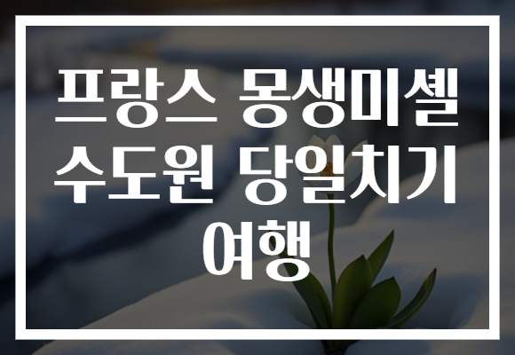 프랑스 몽생미셸 수도원 당일치기 여행