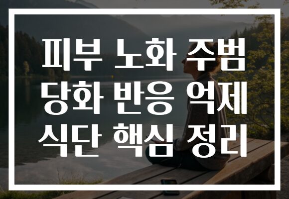 피부 노화 주범 당화 반응 억제 식단 핵심 정리