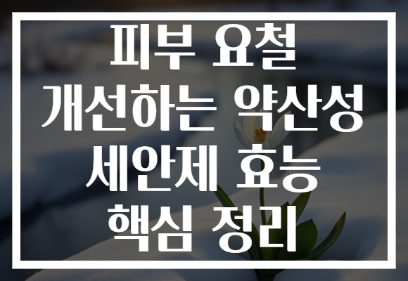 피부 요철 개선하는 약산성 세안제 효능 핵심 정리
