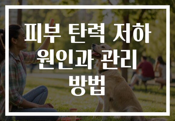 피부 탄력 저하 원인과 관리 방법