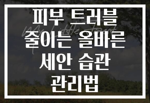 피부 트러블 줄이는 올바른 세안 습관 관리법