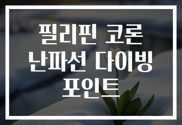 필리핀 코론 난파선 다이빙 포인트