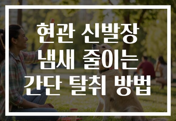 현관 신발장 냄새 줄이는 간단 탈취 방법