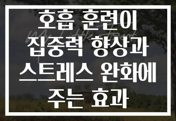 호흡 훈련이 집중력 향상과 스트레스 완화에 주는 효과