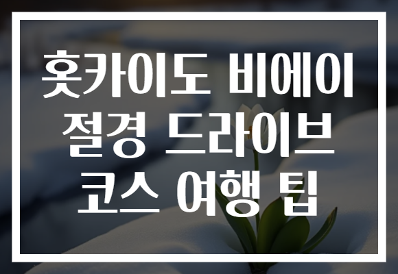 홋카이도 비에이 절경 드라이브 코스 여행 팁