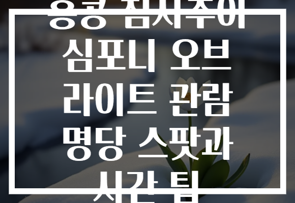 홍콩 침사추이 심포니 오브 라이트 관람 명당 스팟과 시간 팁