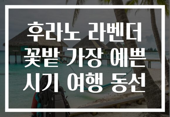 후라노 라벤더 꽃밭 가장 예쁜 시기 여행 동선