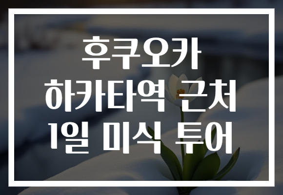 후쿠오카 하카타역 근처 1일 미식 투어