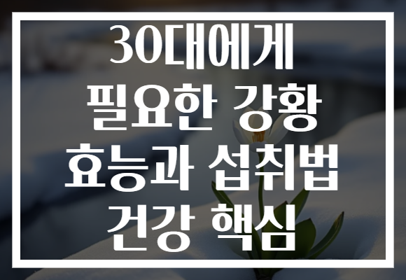 30대에게 필요한 강황 효능과 섭취법 건강 핵심