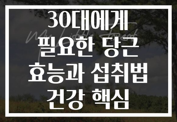 30대에게 필요한 당근 효능과 섭취법 건강 핵심