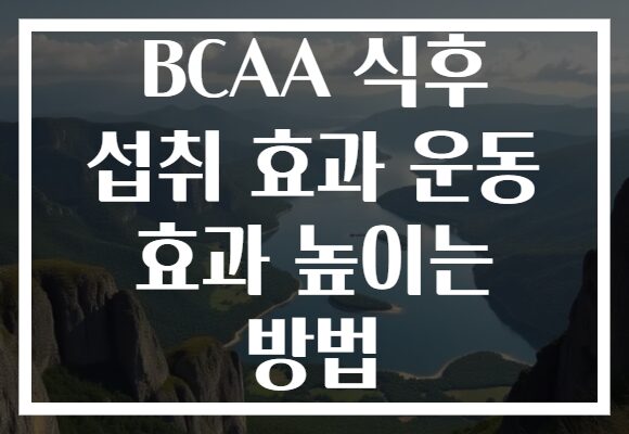BCAA 식후 섭취 효과 운동 효과 높이는 방법