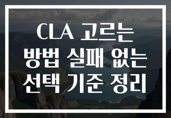 CLA 고르는 방법 실패 없는 선택 기준 정리
