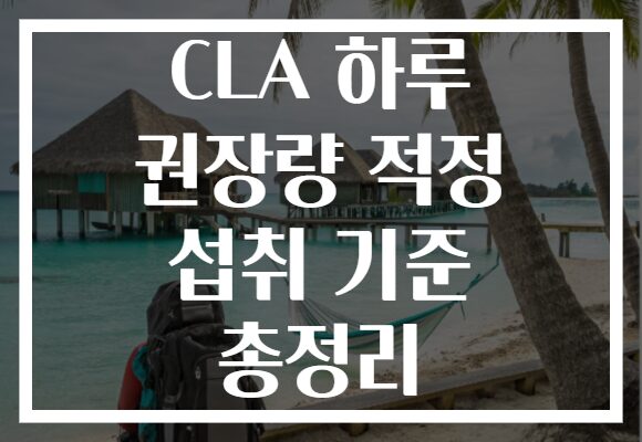 CLA 하루 권장량 적정 섭취 기준 총정리