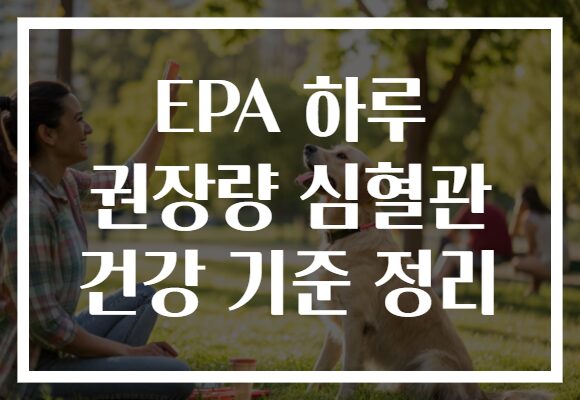 EPA 하루 권장량 심혈관 건강 기준 정리