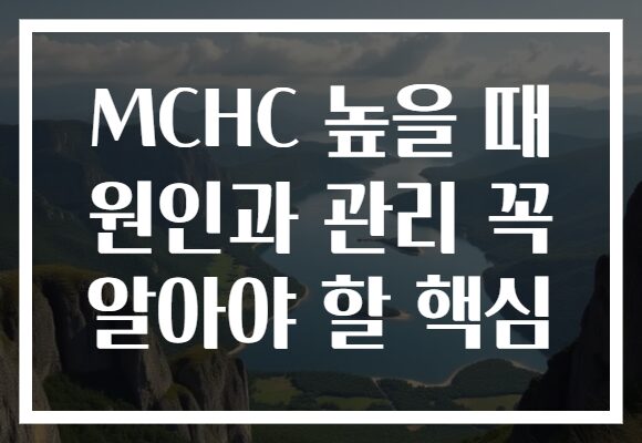 MCHC 높을 때 원인과 관리 꼭 알아야 할 핵심