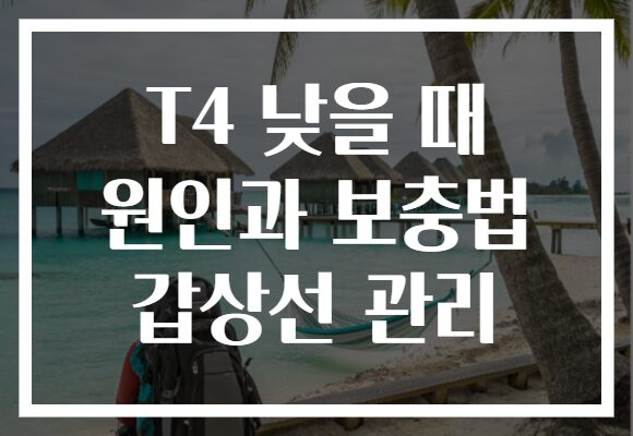 T4 낮을 때 원인과 보충법 갑상선 관리