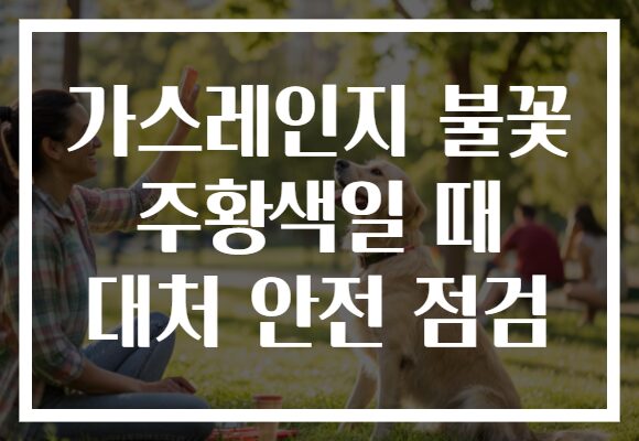 가스레인지 불꽃 주황색일 때 대처 안전 점검